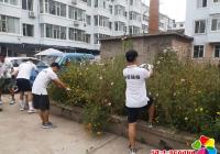 助力創城 非公志愿者顯擔當